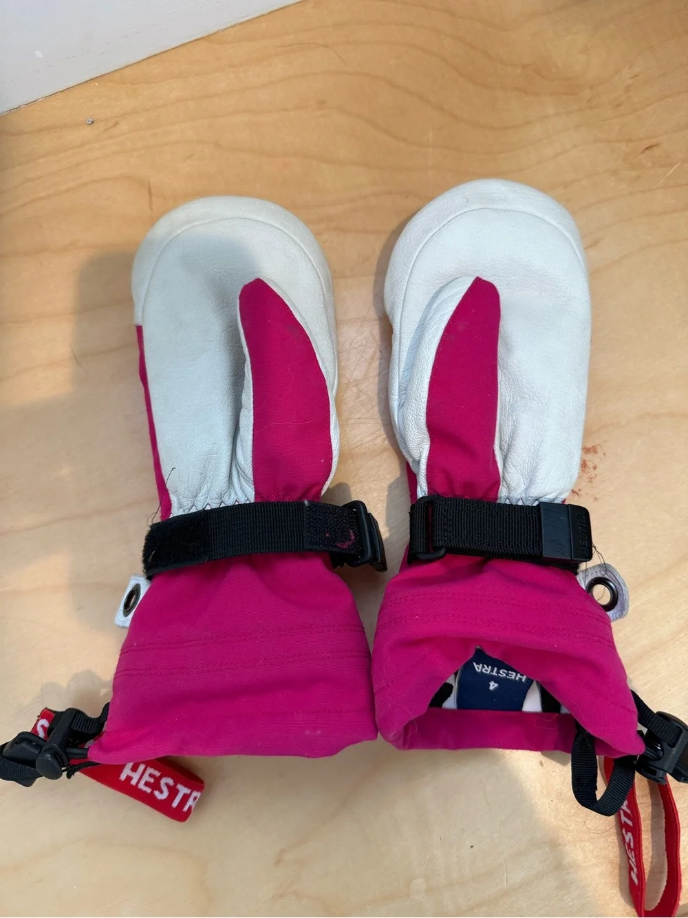 Kids Hestra Ski Mittens